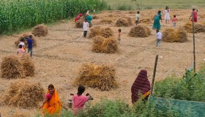 Muzaffarpur Bihar farmers wheat crop climate change impact
